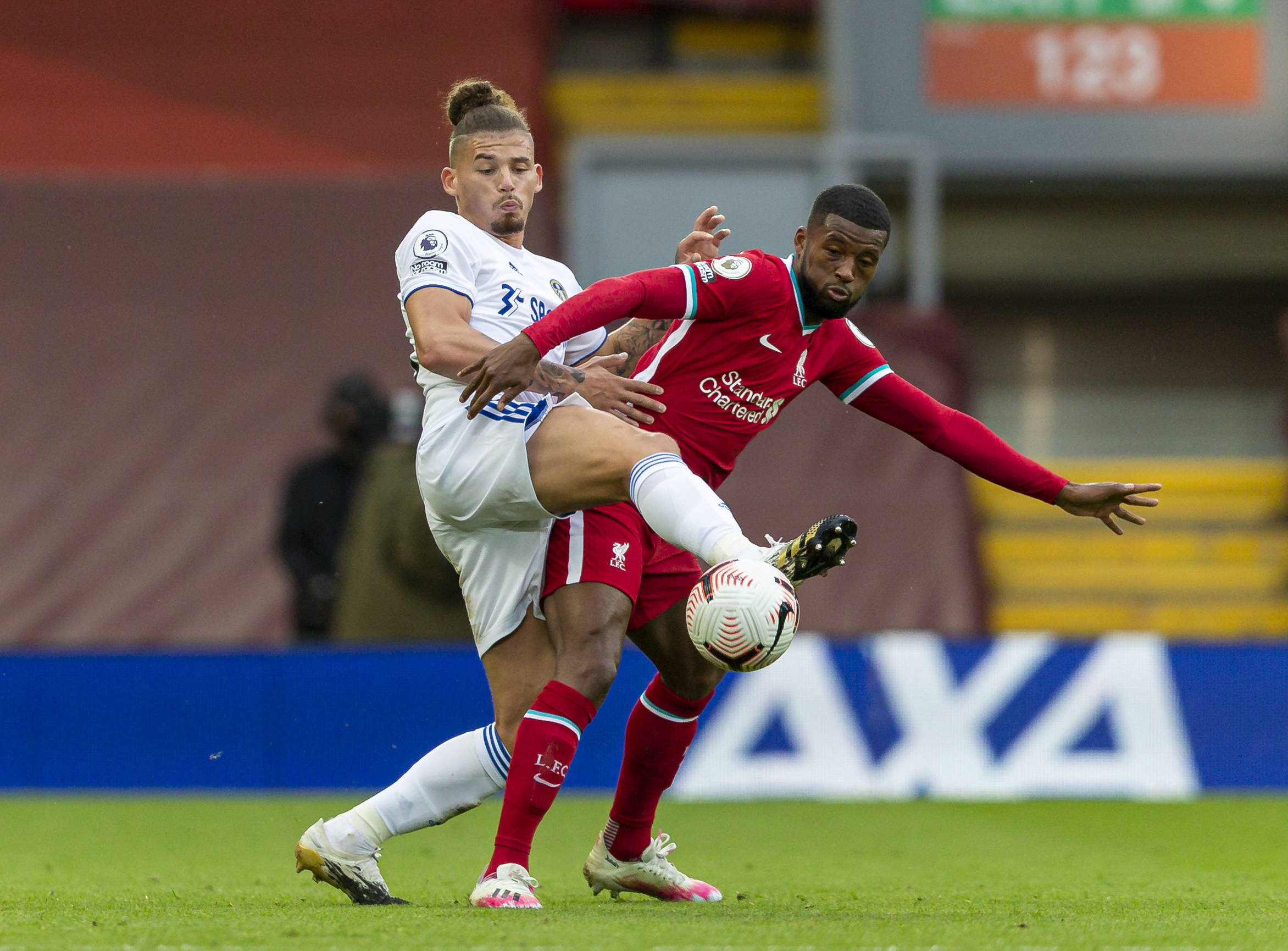 年轻球员哈 年轻球员哈